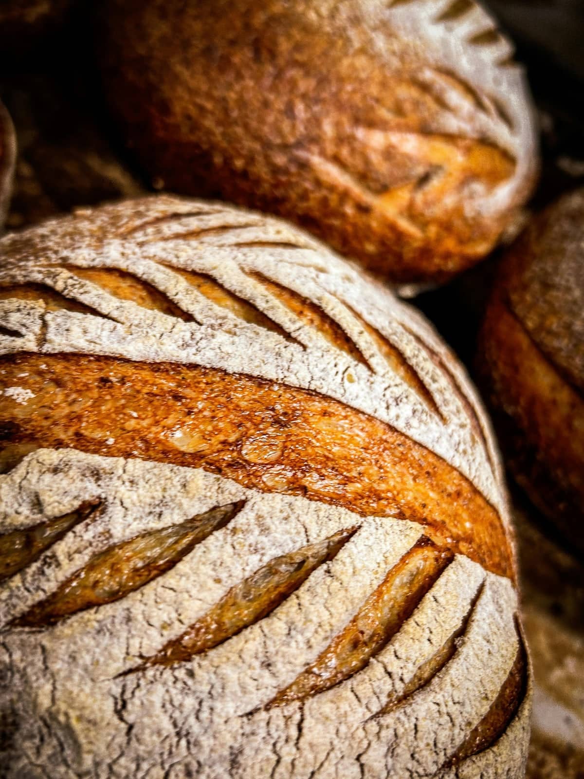 Miche « Ronce » — spécialité de la boulangerie